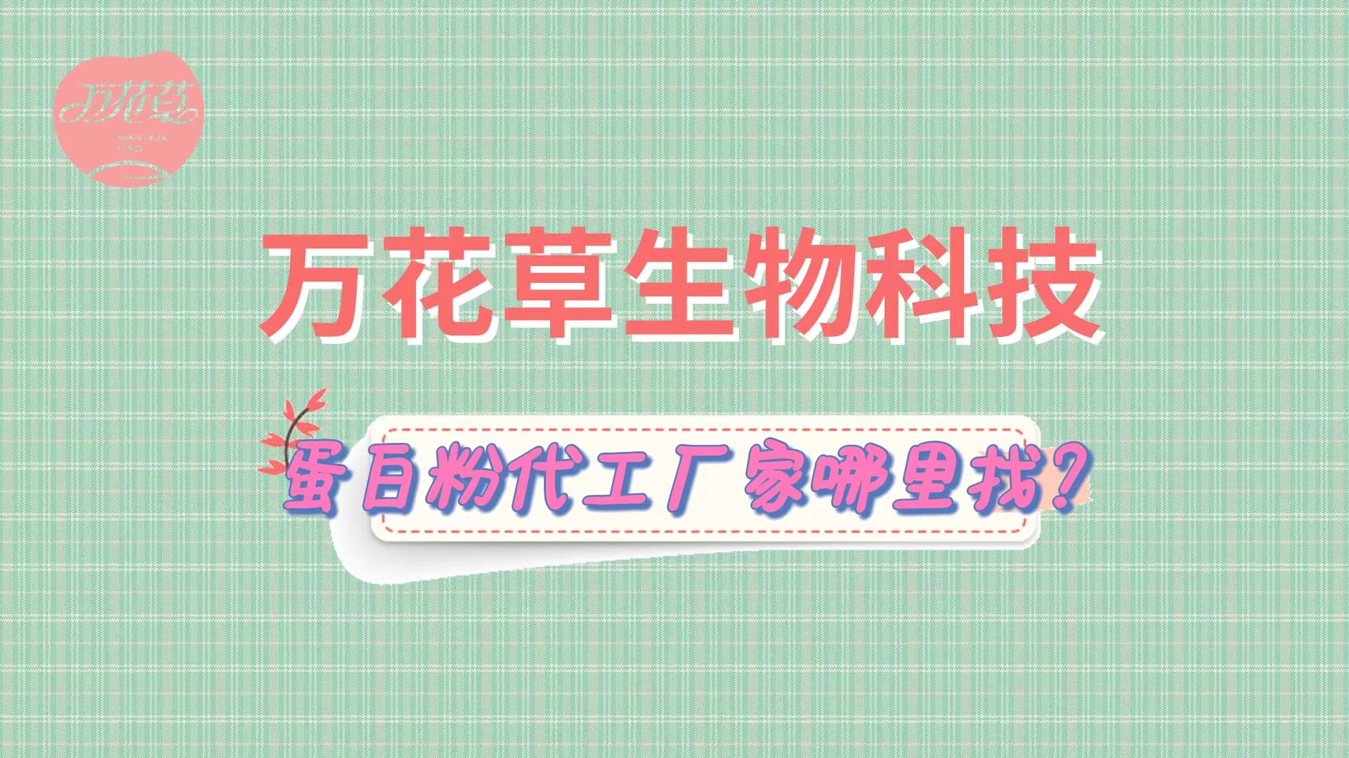 蛋白粉代加工，怎么找專業(yè)源頭廠家？