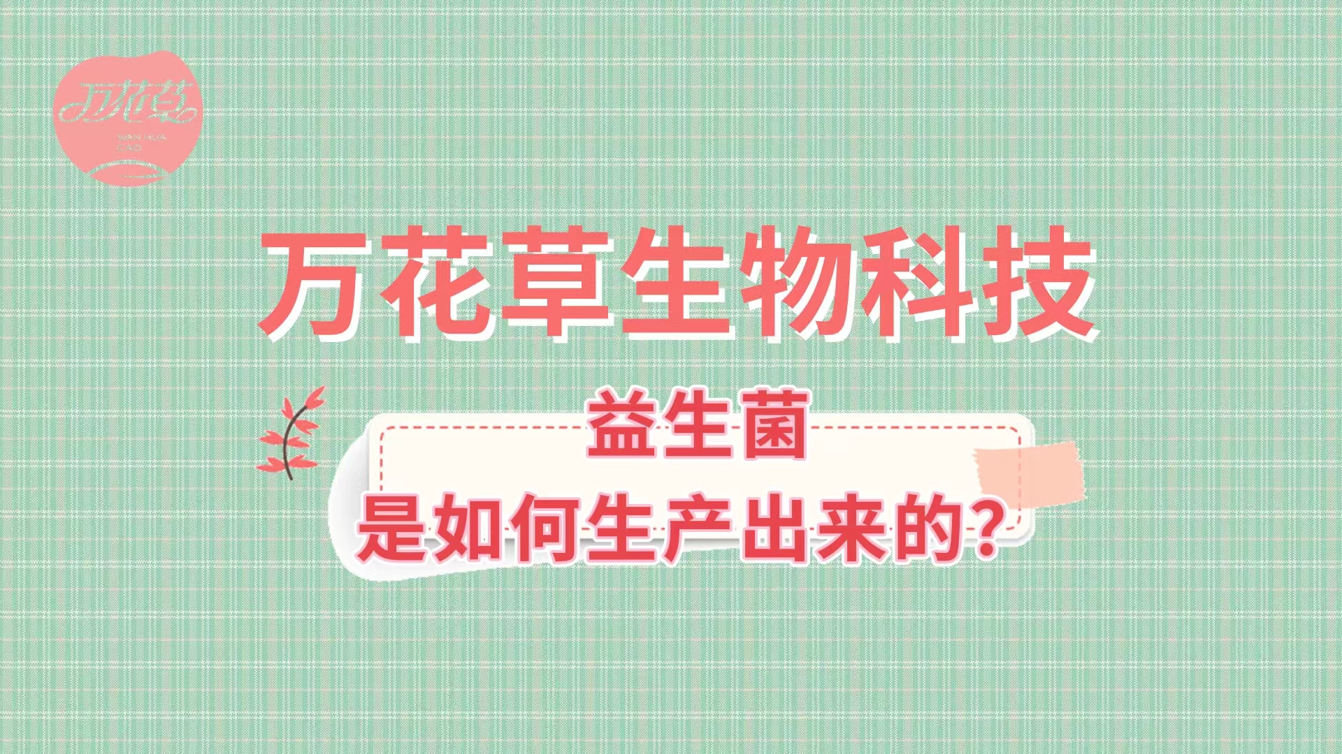 帶您了解益生菌是如何生產(chǎn)出來的,好的廠家哪里找？
