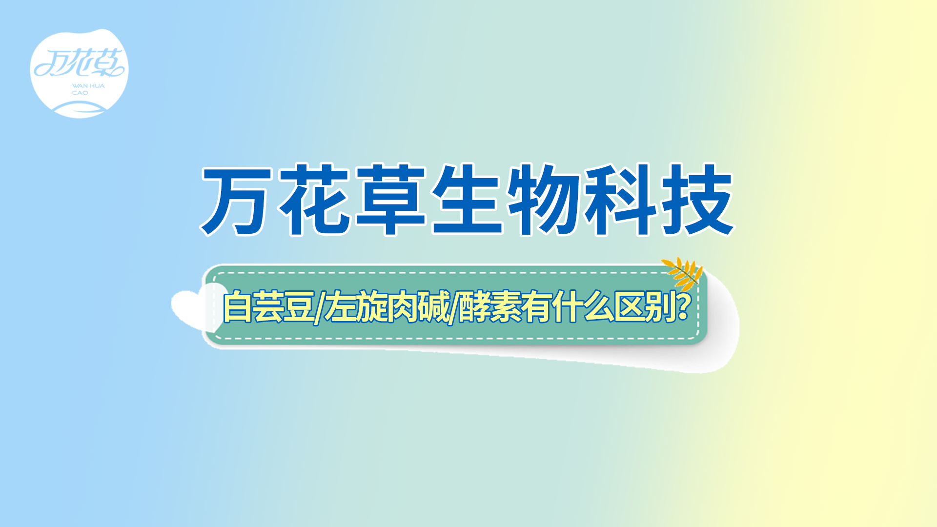 白蕓豆、左旋肉堿、嗨吃酵素有什么區(qū)別？